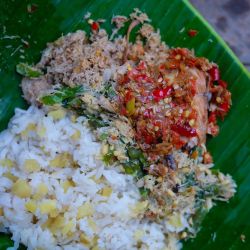 Nasi sela.jpg