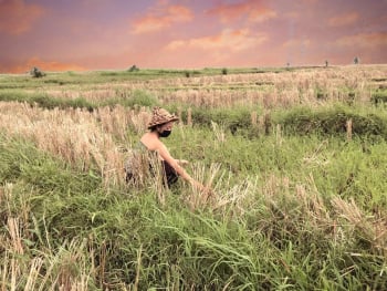 Foto dira sawah.jpg