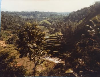 Bukit Jambal.jpg