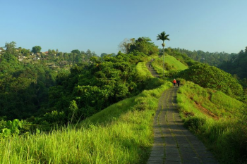 Bukit Campuhan Ubud.png