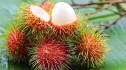 Images (2) rambutan.jpeg