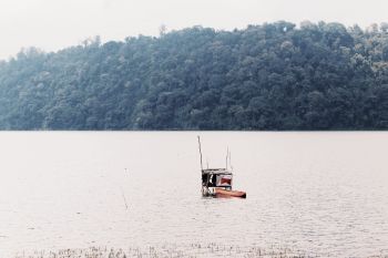 Pondok Danau Buyan.jpeg